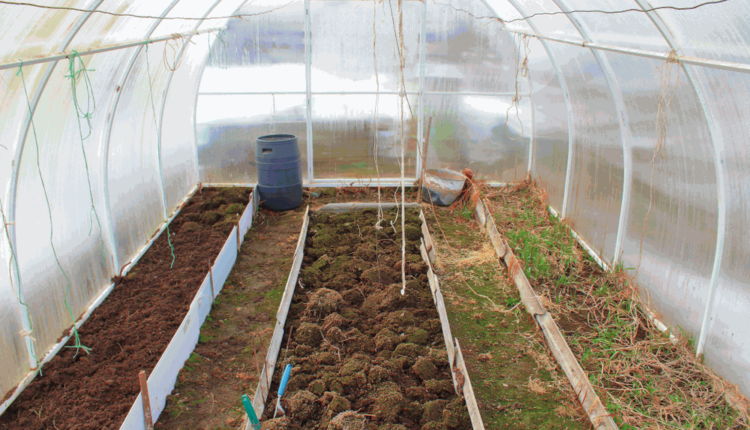 Greenhouse Need Organic Topsoil